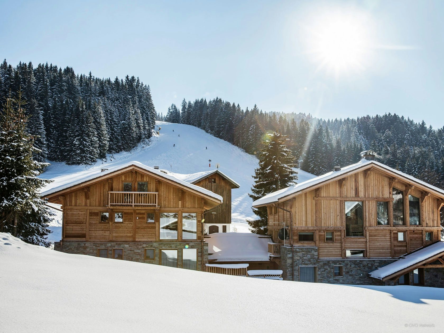 Skiin/skiout chalets in Les Gets OVO Network